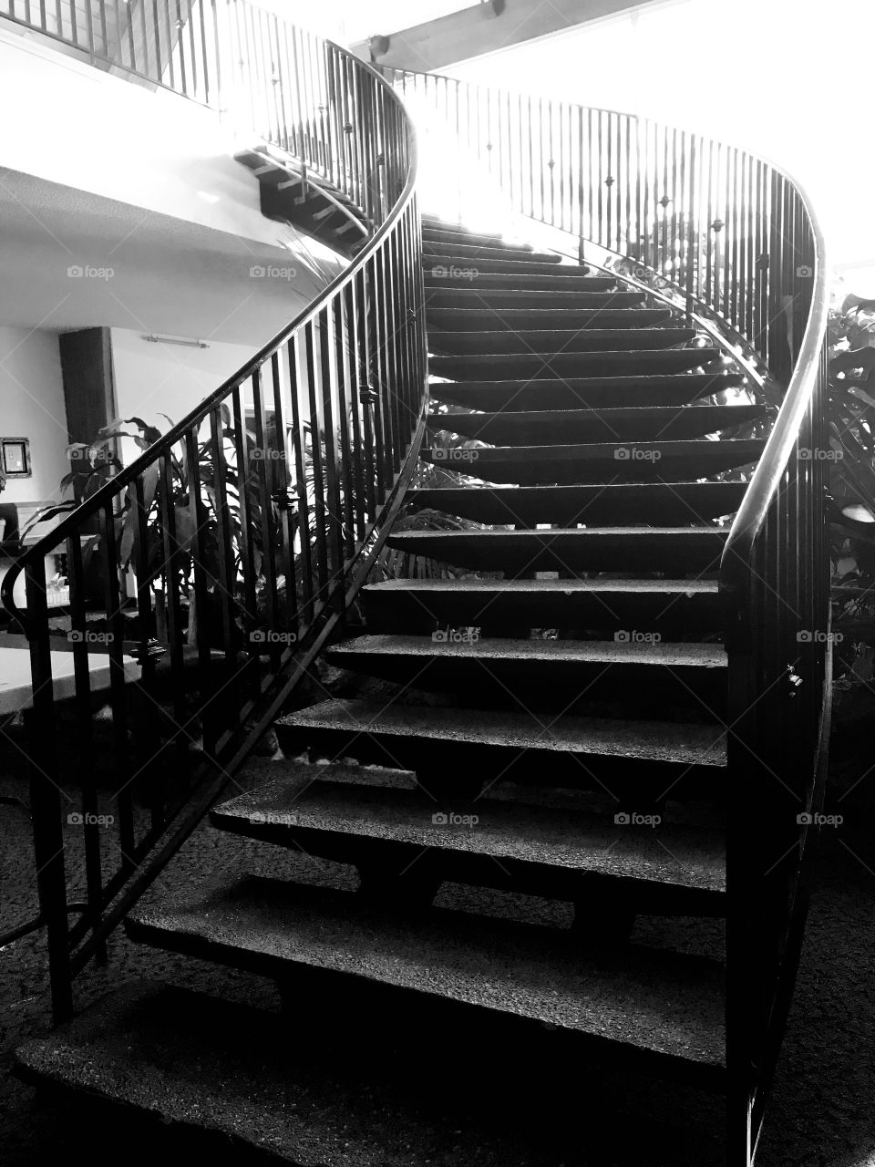 The arch shape of the steps makes it more interesting and fun to use going upstairs. 