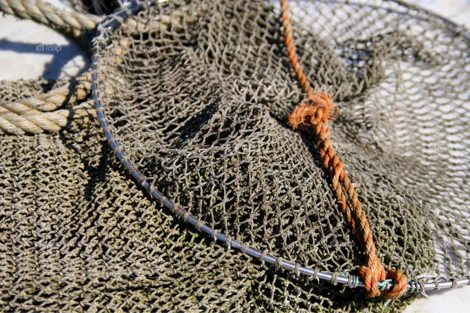 Fish trap