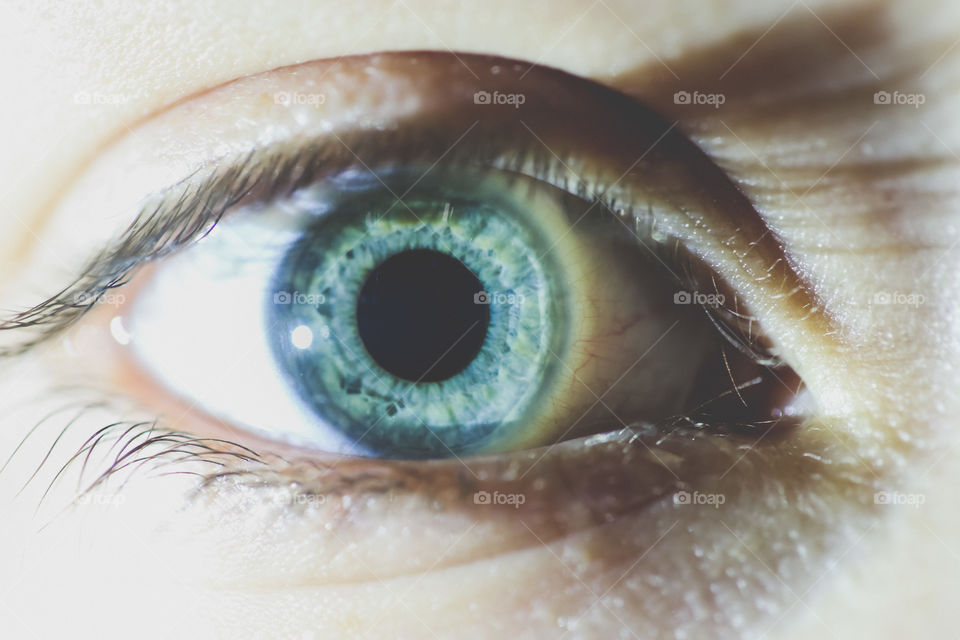 Beautiful and detailed close-up of an aqua or turquoise eye