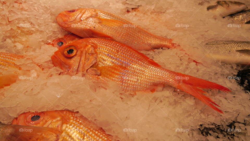 Red Snapper on Ice. Pike Place Market