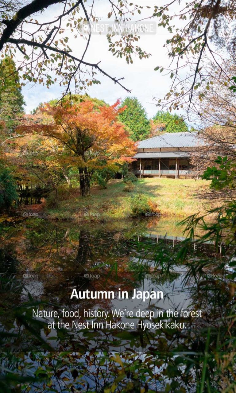 autumn in Japón