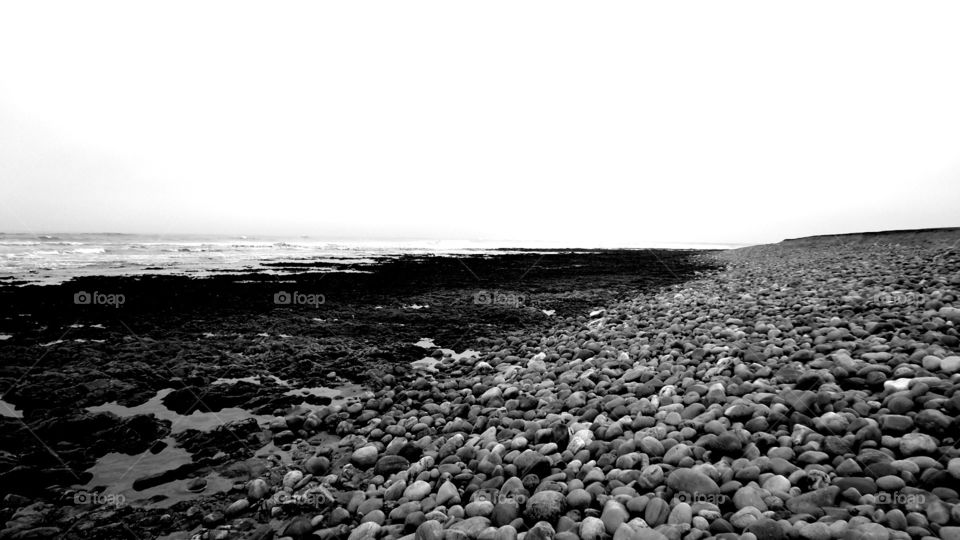 Rocky shore