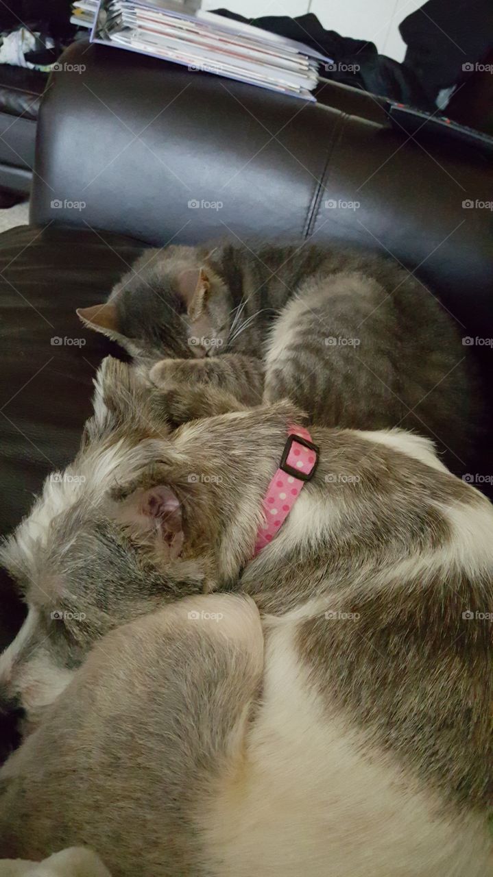 Chloe and Fiona snuggled up