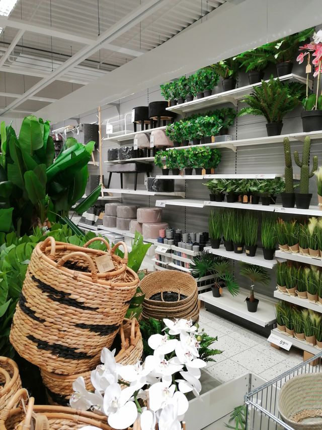 💚💚💚
