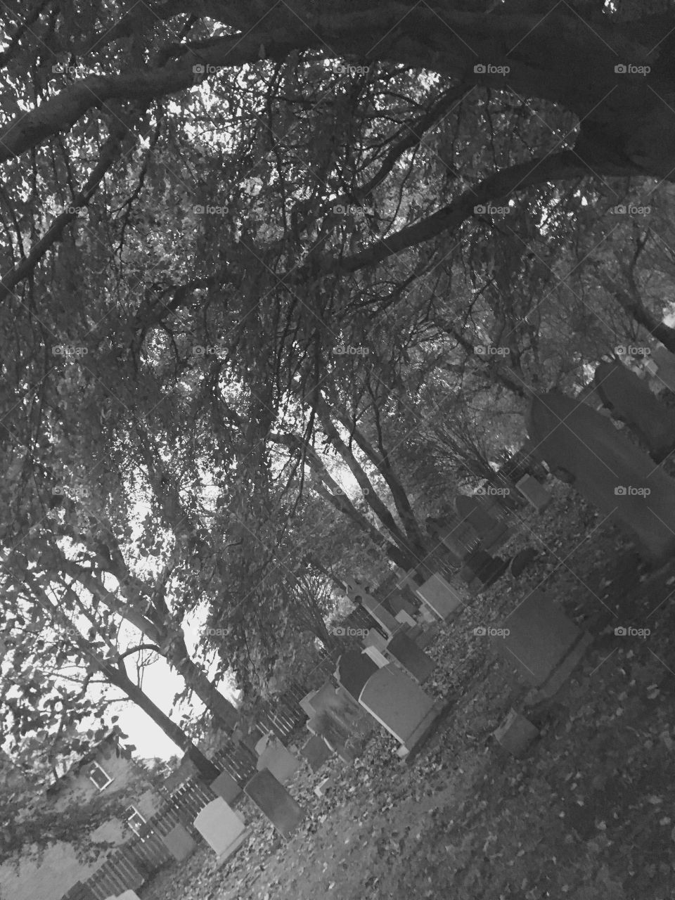 Cemetery in monochrome 