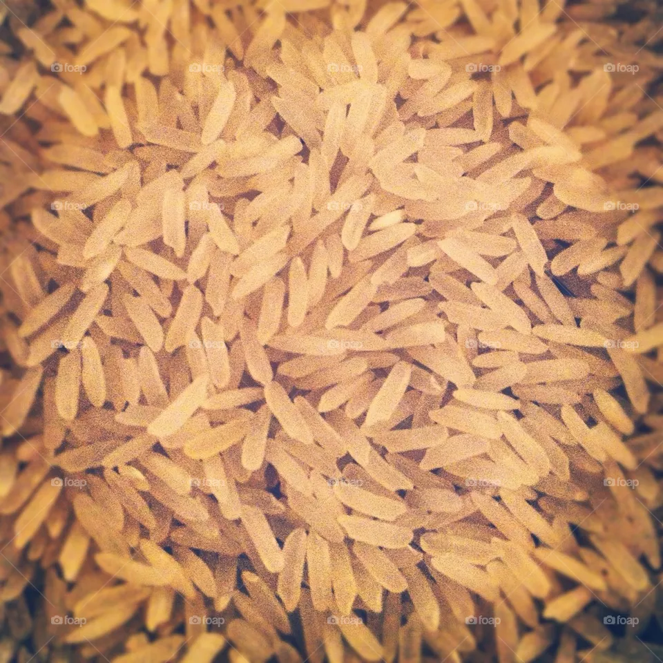 Rice