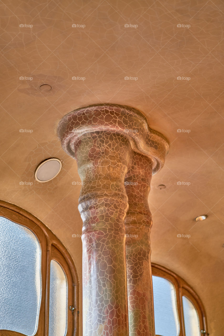 Columns. Casa Batllo. Barcelona. Details