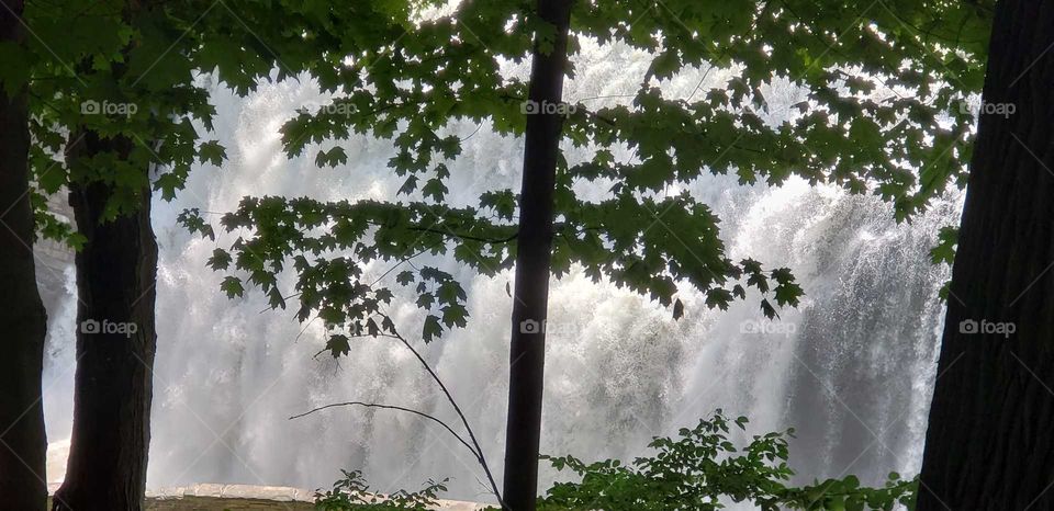 the falls beyond the trees