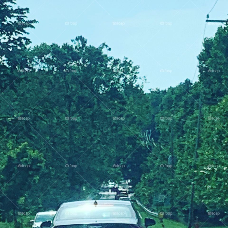 Vehicle, No Person, Transportation System, Tree, Car