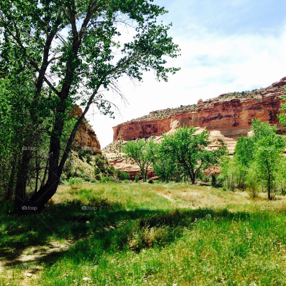 Black Ridge Canyons Wilderness