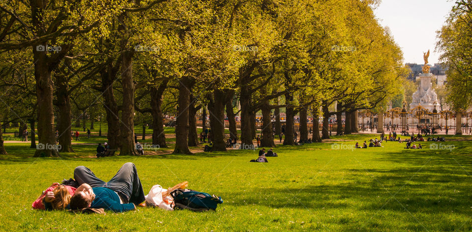 A couple relaxes on the grass in Green Park, London.  Other picnickers can be seen sitting in between to rows on trees that lead up towards Buckingham Palace