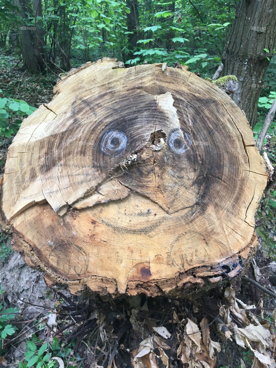 What do you see there ?