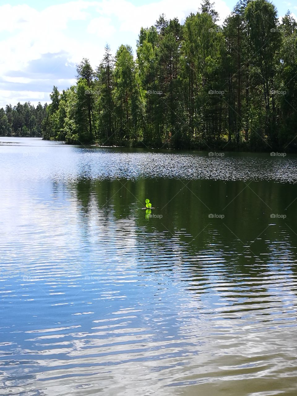 swedish lake