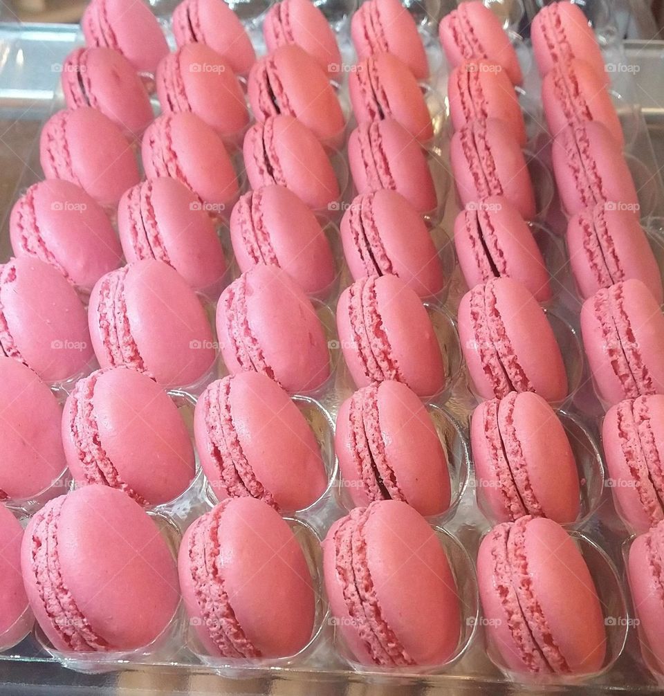 Bubble Gum Macarons all Lined Up in Rows