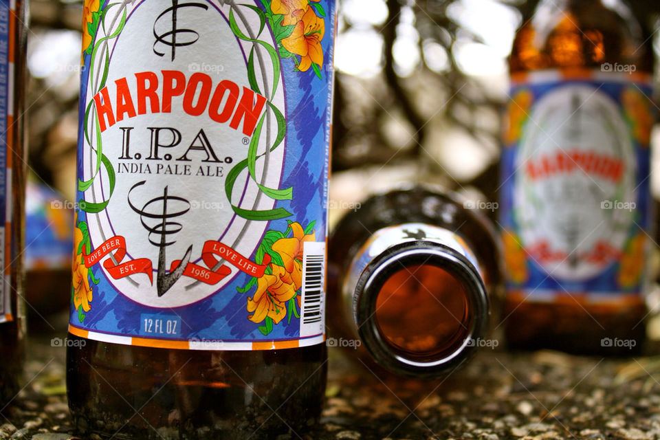 bottles beer harpoon i.p.a by sarali11