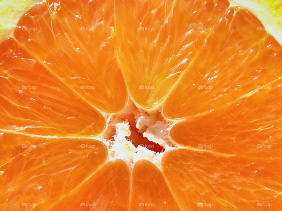 macro of fresh orange