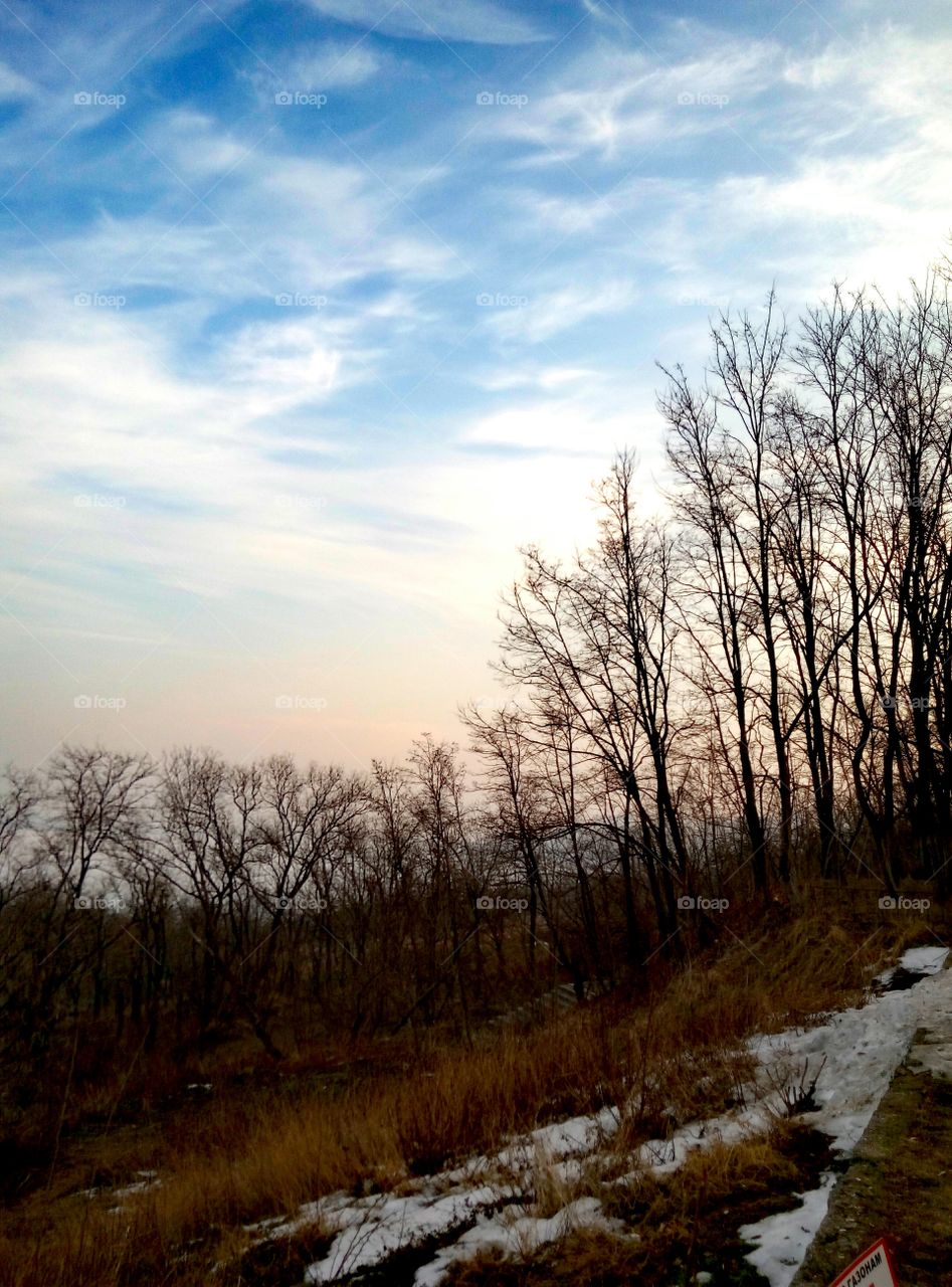 Beautiful view of nature