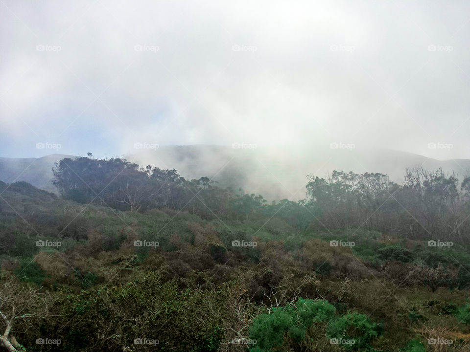 High angle view of nature