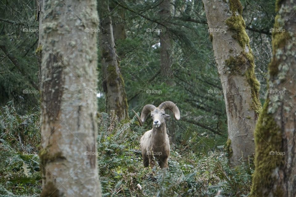 Look what I found :)