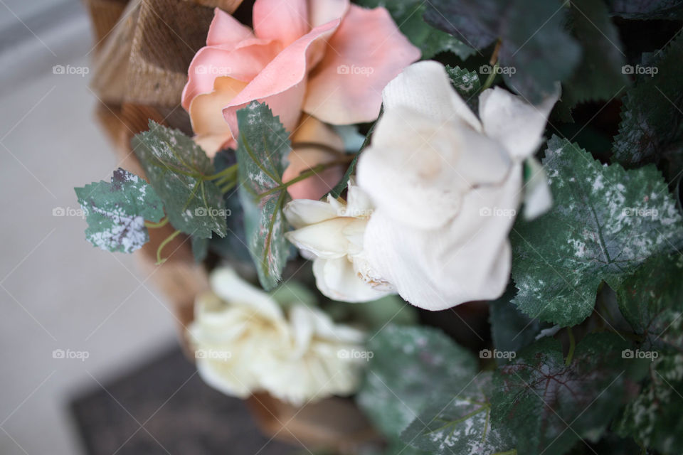 Wedding, Flower, Rose, Leaf, Love