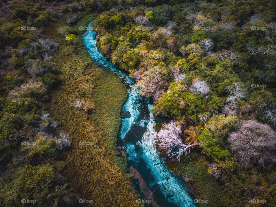 brazilian "Sucuri" river