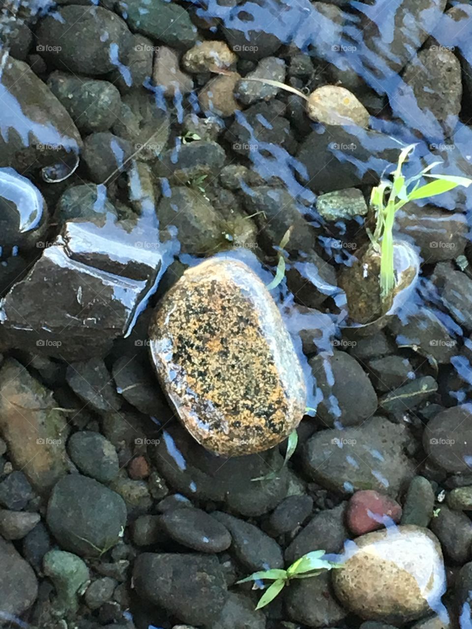 The rock in the river