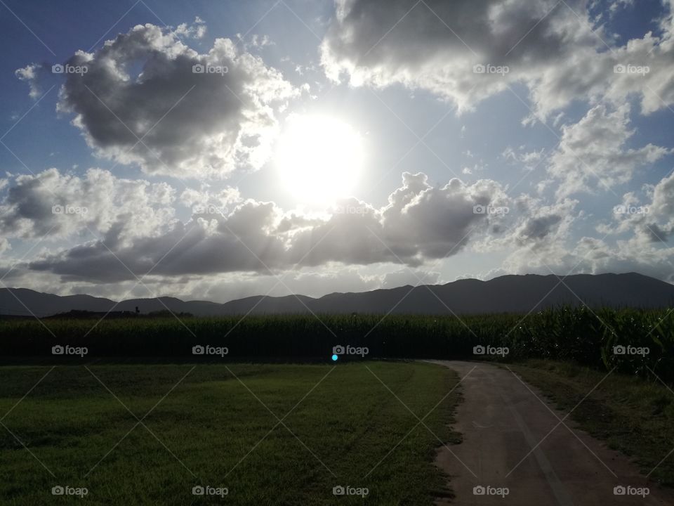 The sun in the circle