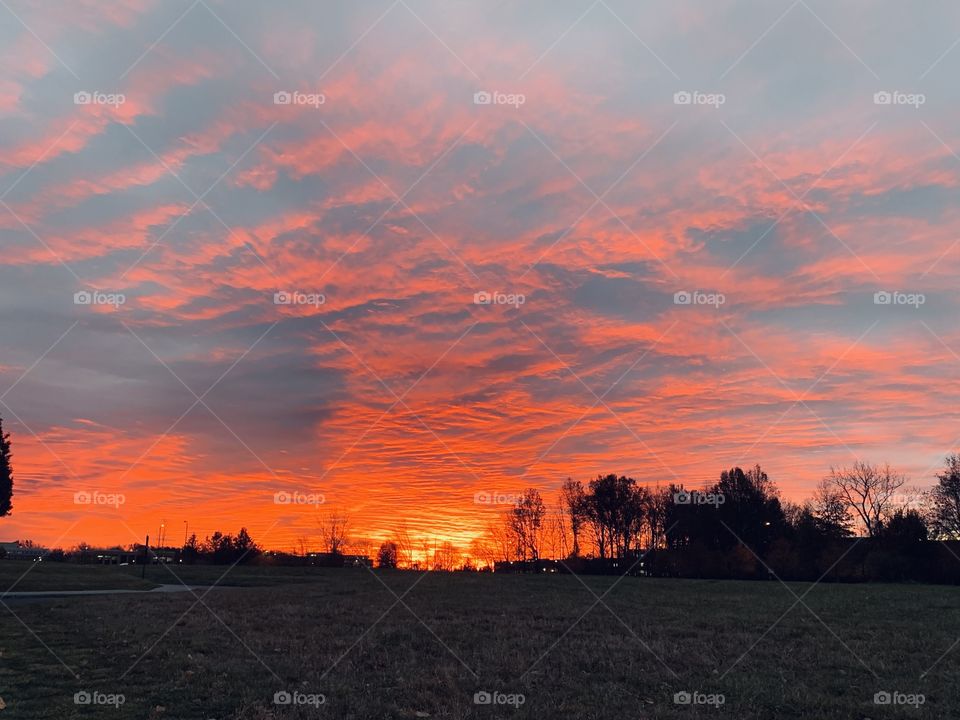 The morning sun rises in the east, no matter the weather. Today in the Midwest, the sky is full of clouds. It’s beautiful! 