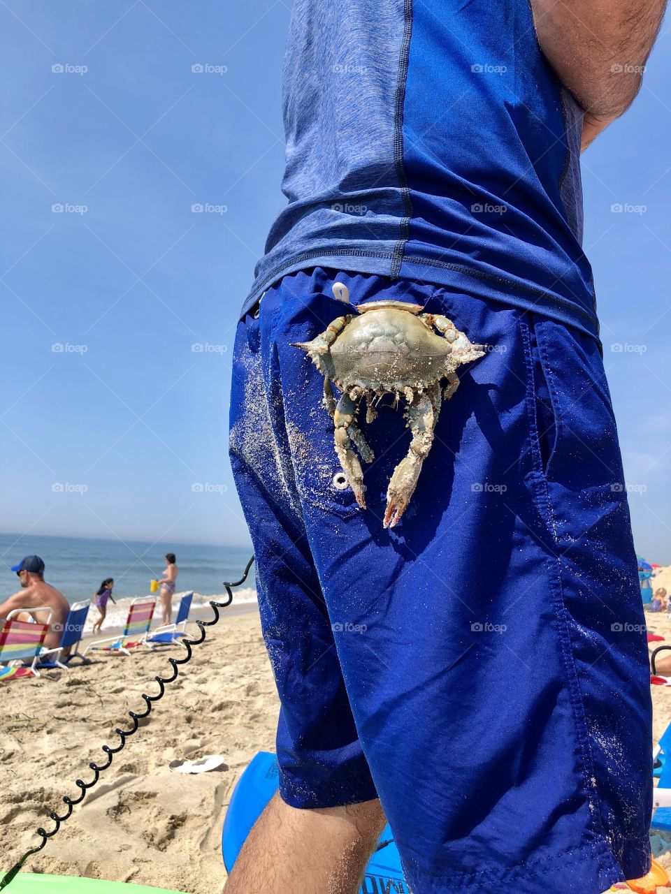 Crab on swim shorts 
