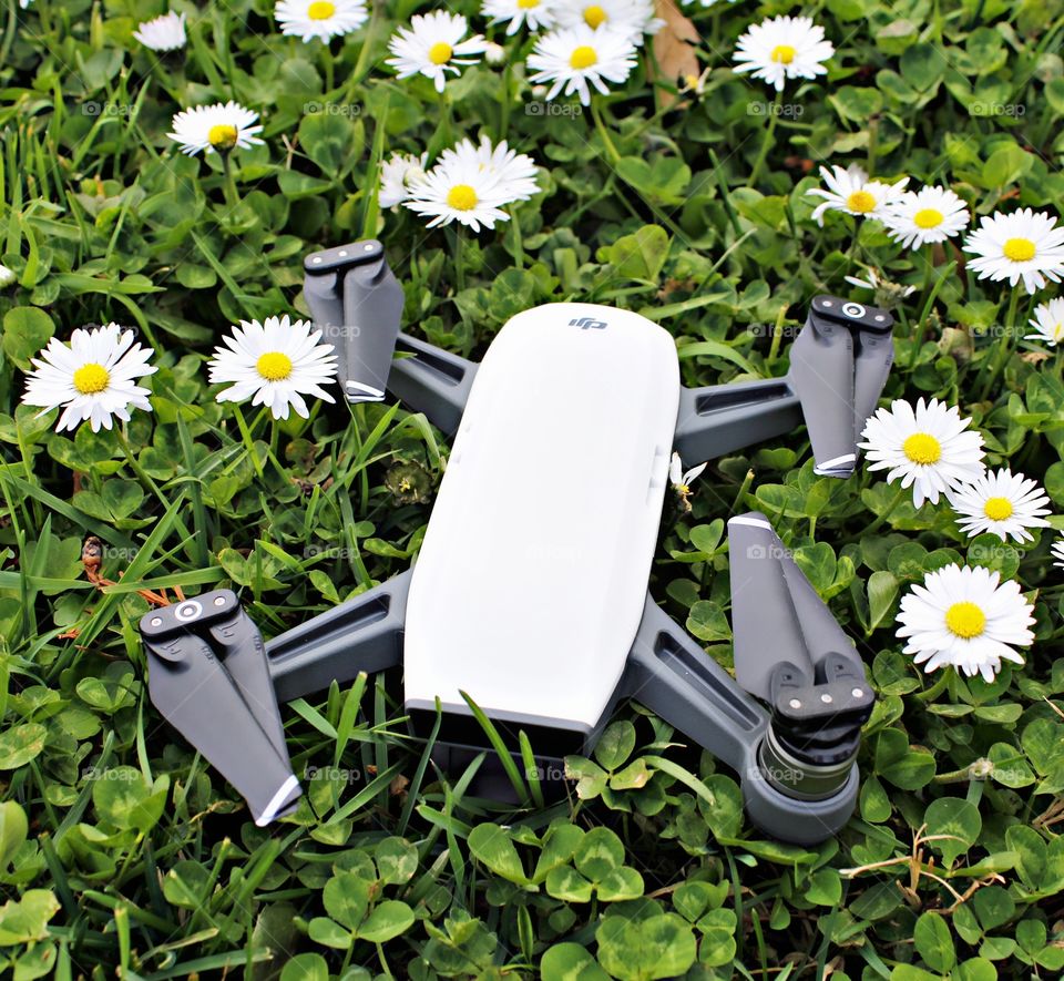 technology drone in a field of daisies waiting to fly and take pictures
