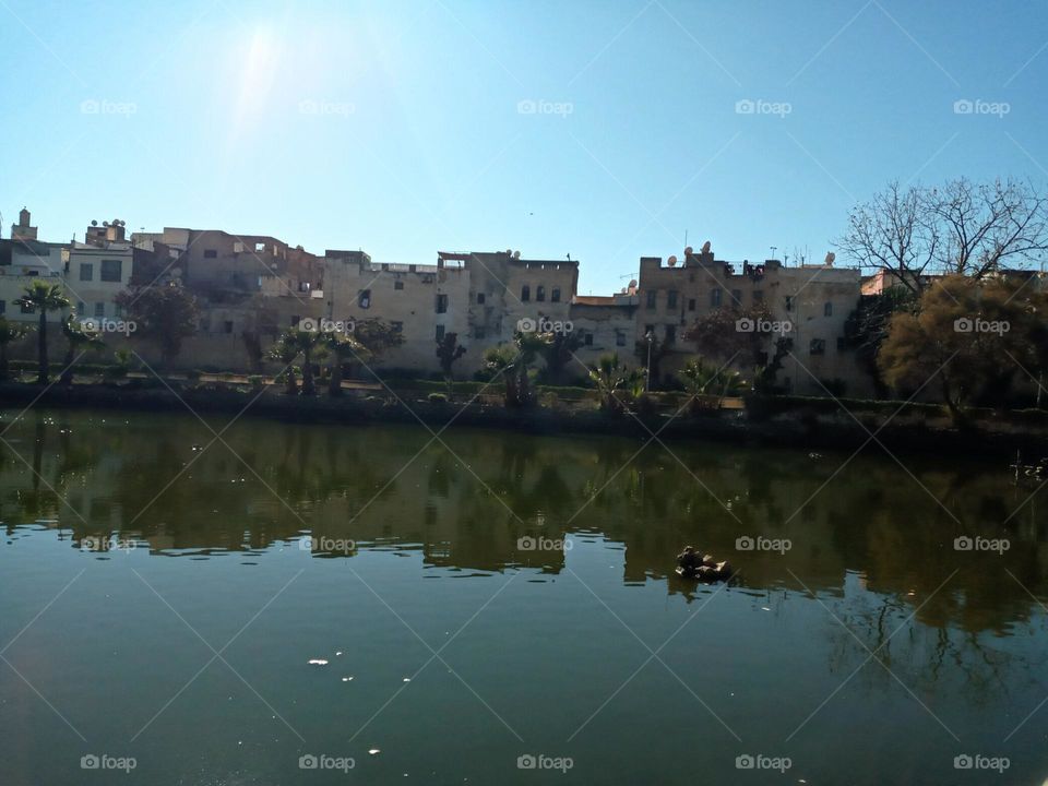 population between the nature