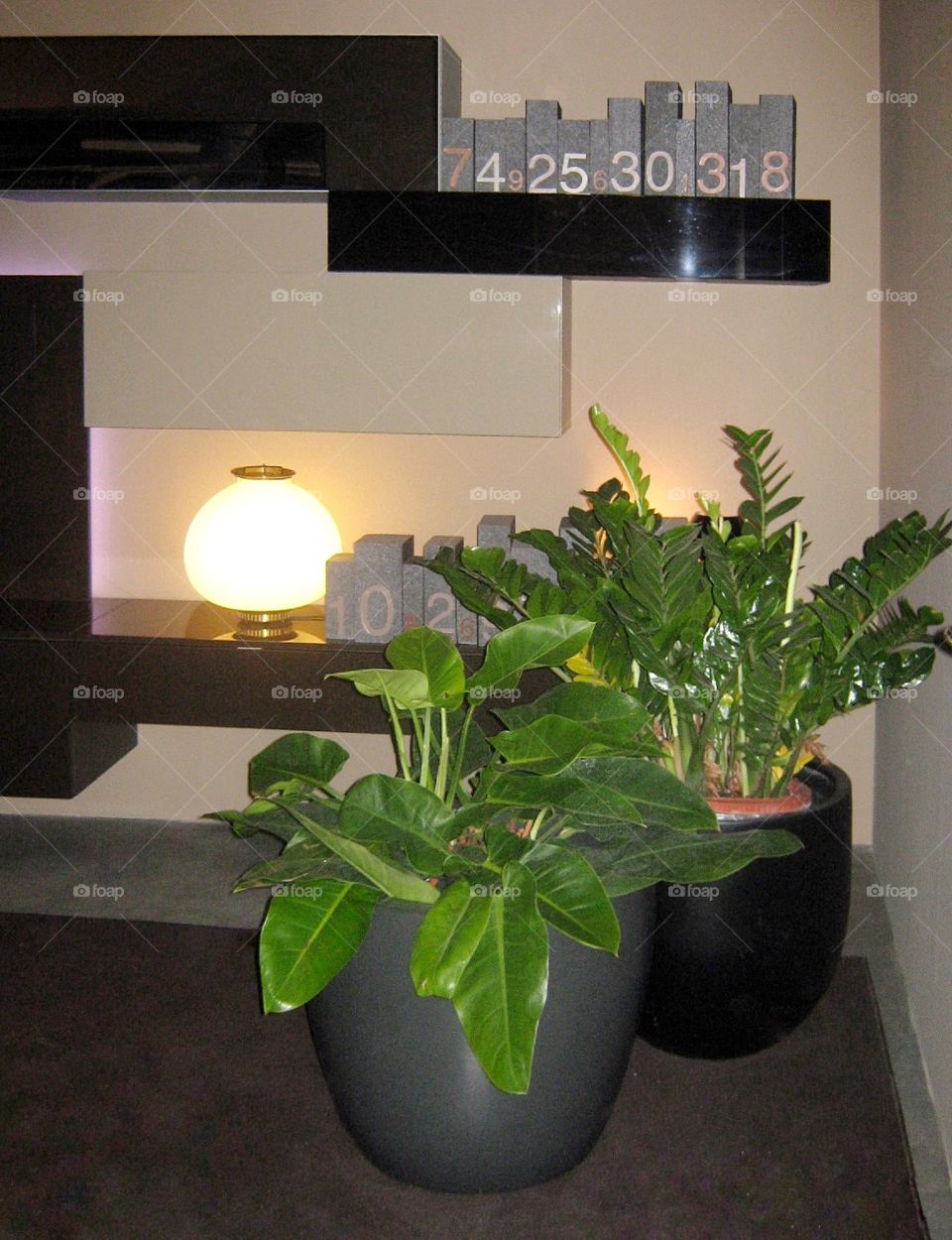 House plant collection