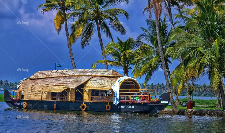 Houseboat, Backwater and Coconut trees | Face of God's own country