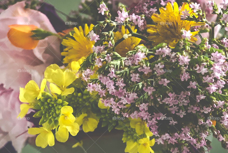 A close up of a bunch of wildflowers in pinks & yellow