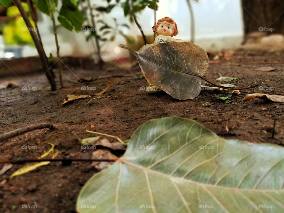 this is the love toy with autumn leaf very good fair