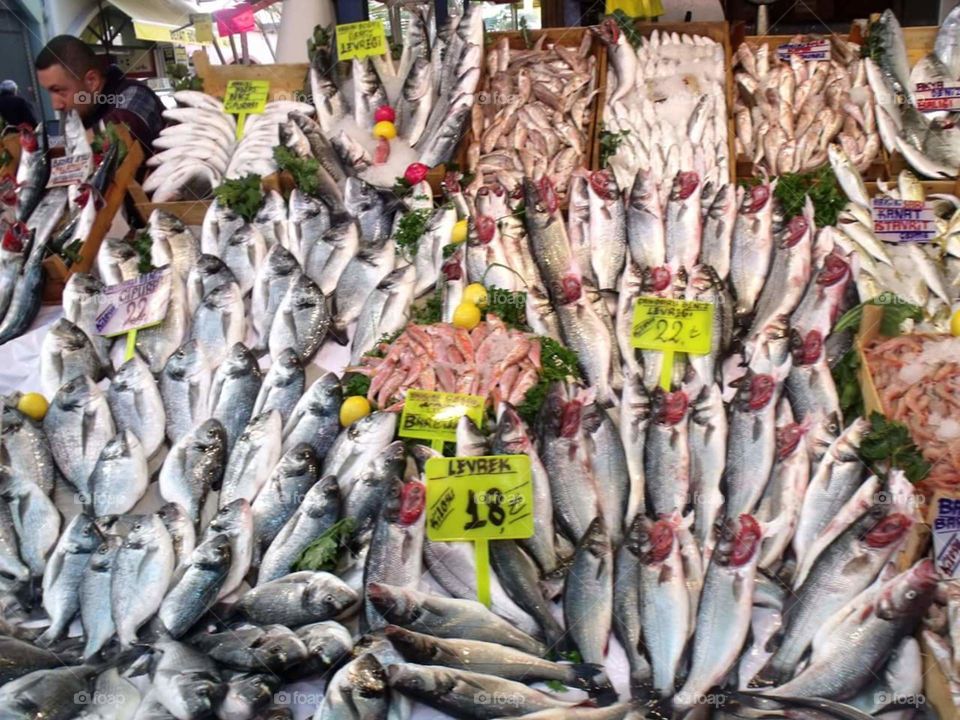 fish market