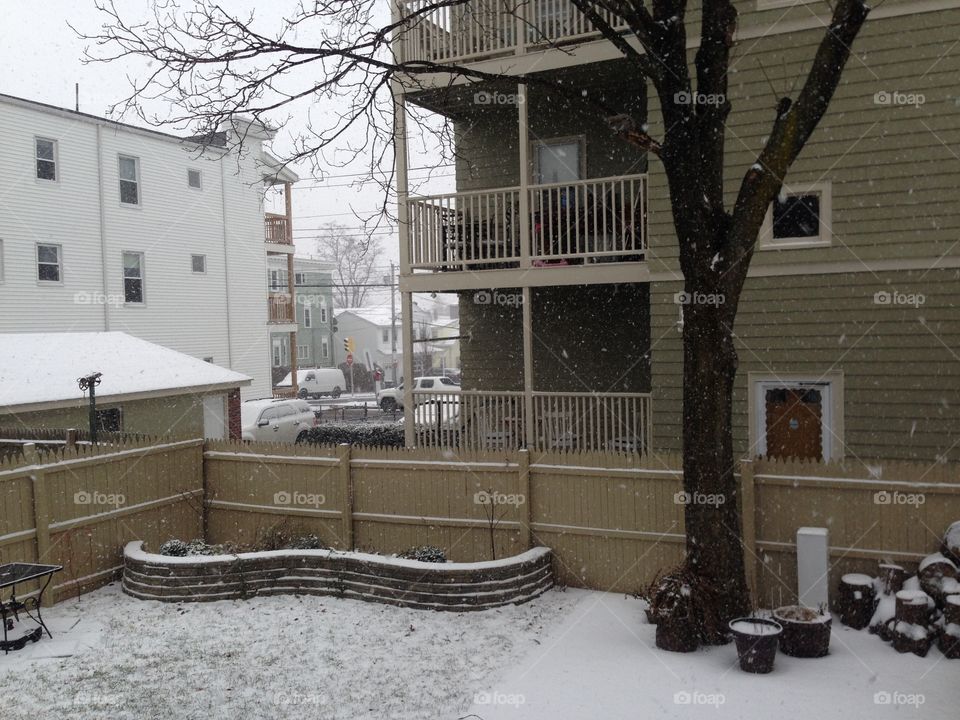 An old man doesn't expect snow, however a child dream of it all year