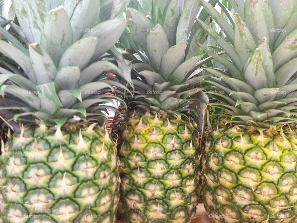 Pineapples. group of pineapples