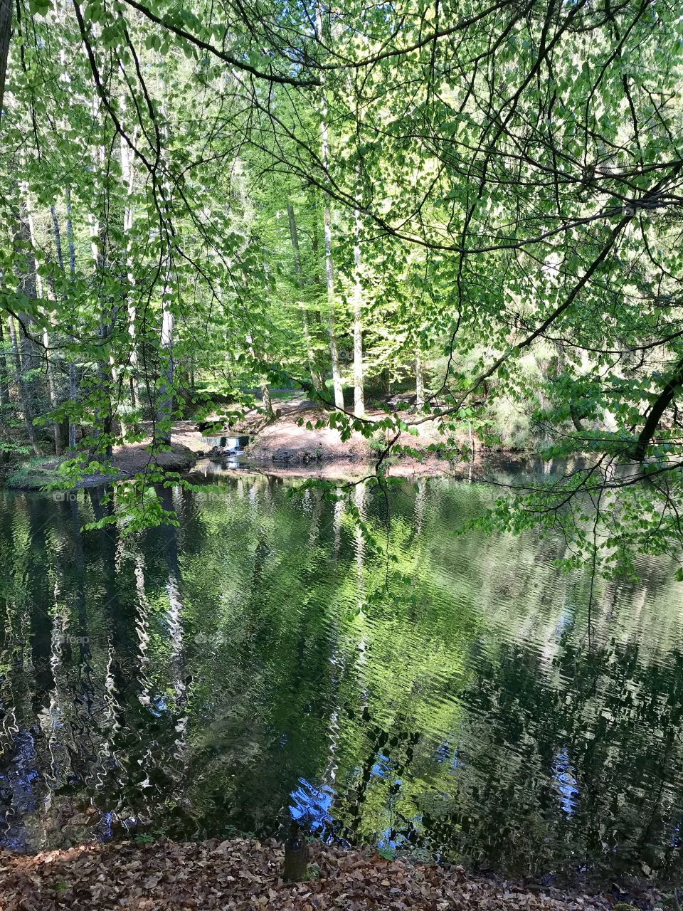Steibachweiher 