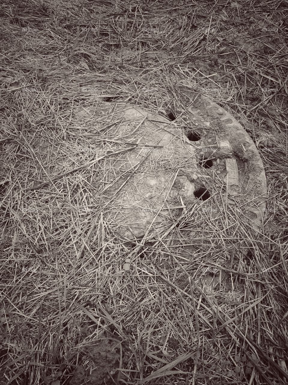 Dust Cover in field bw
