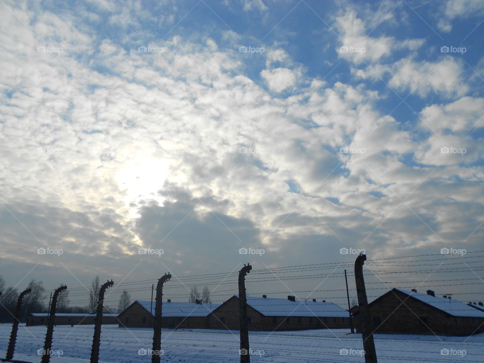Auschwitz Sky