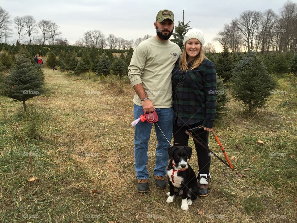 Dog, Canine, Two, People, Mammal