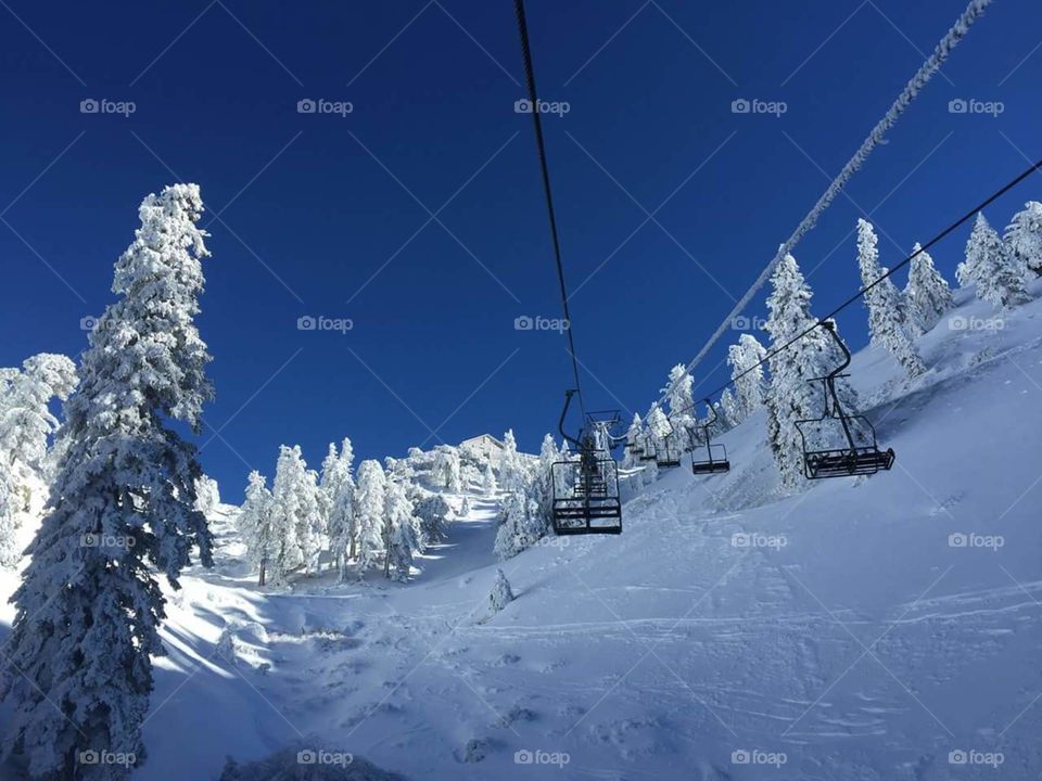 Snow, Winter, Cold, Ice, Frozen