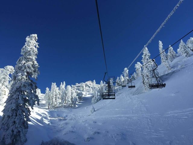 Snow, Winter, Cold, Ice, Frozen