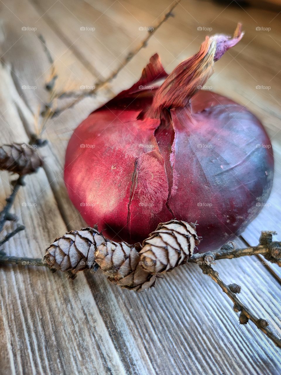 Red onions and a branch with cones on a wooden background