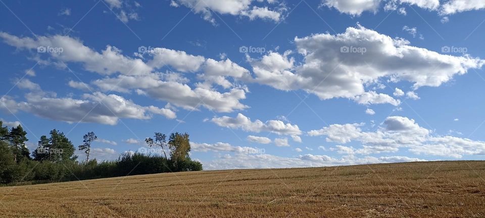 field beautiful autumn nature landscape blue sky background