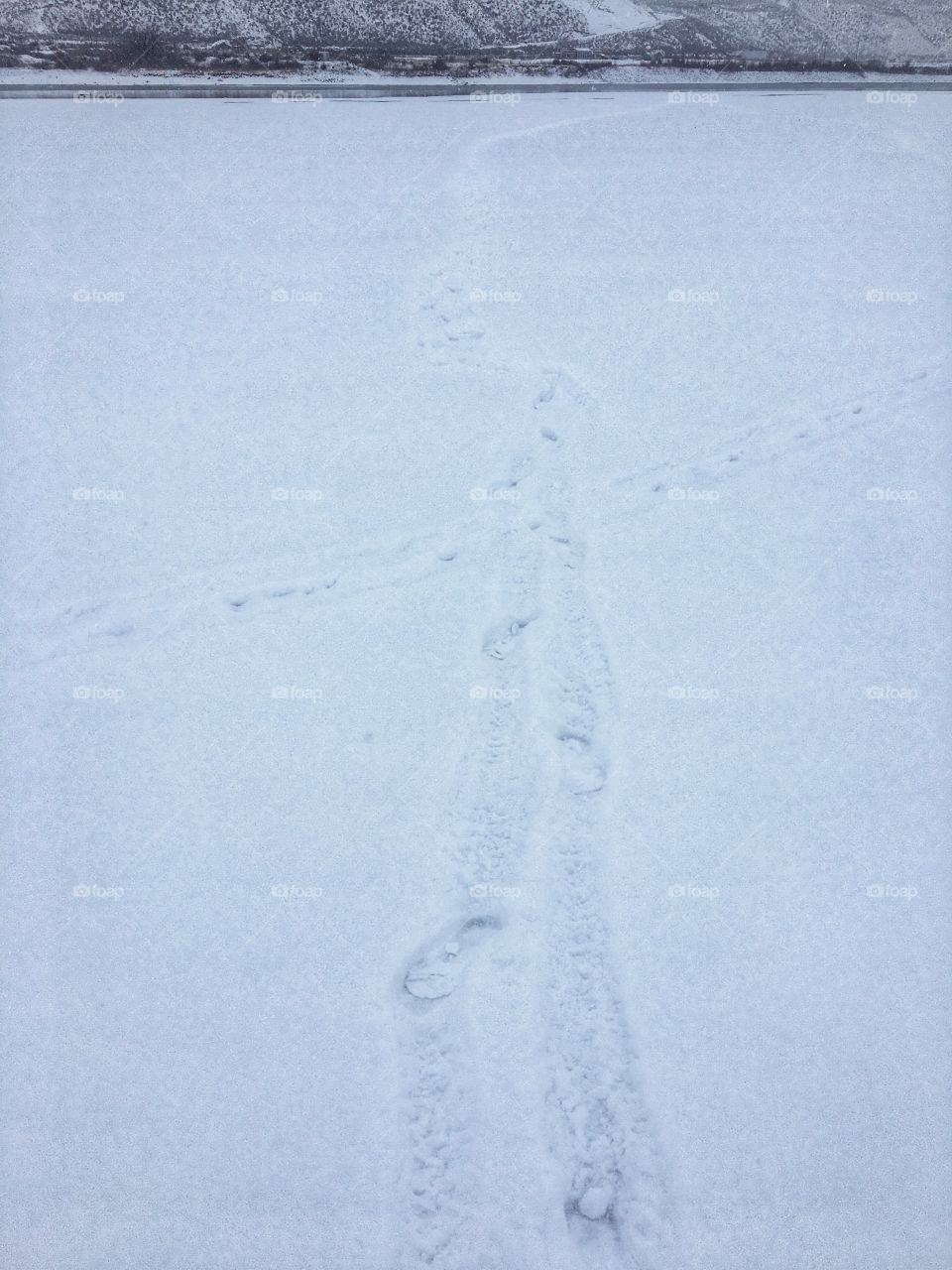 Winter trail 