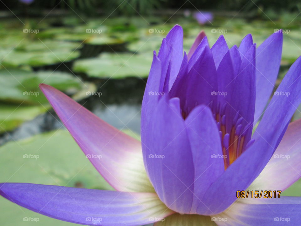 Time To Openup my friend