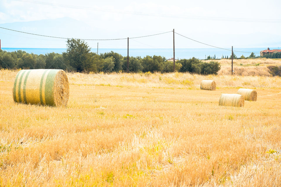 Golden Hay Bales Field Landscape
