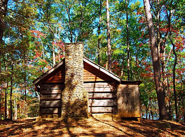 Old log cabin homestead